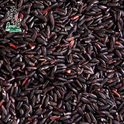 优质黑米 黑糯米 血糯米  黑糯米粽子原料 厂家直销 软糯可口 