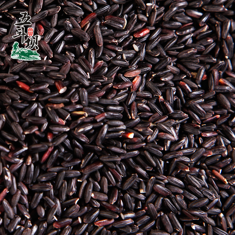 优质黑米 黑糯米 血糯米  黑糯米粽子原料 厂家直销 软糯可口 