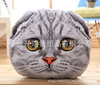 Detachable cartoon pillow, realistic cute plush toy, kitten