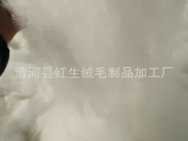 动物毛鬃;纺织填充物;蚕茧、蚕丝