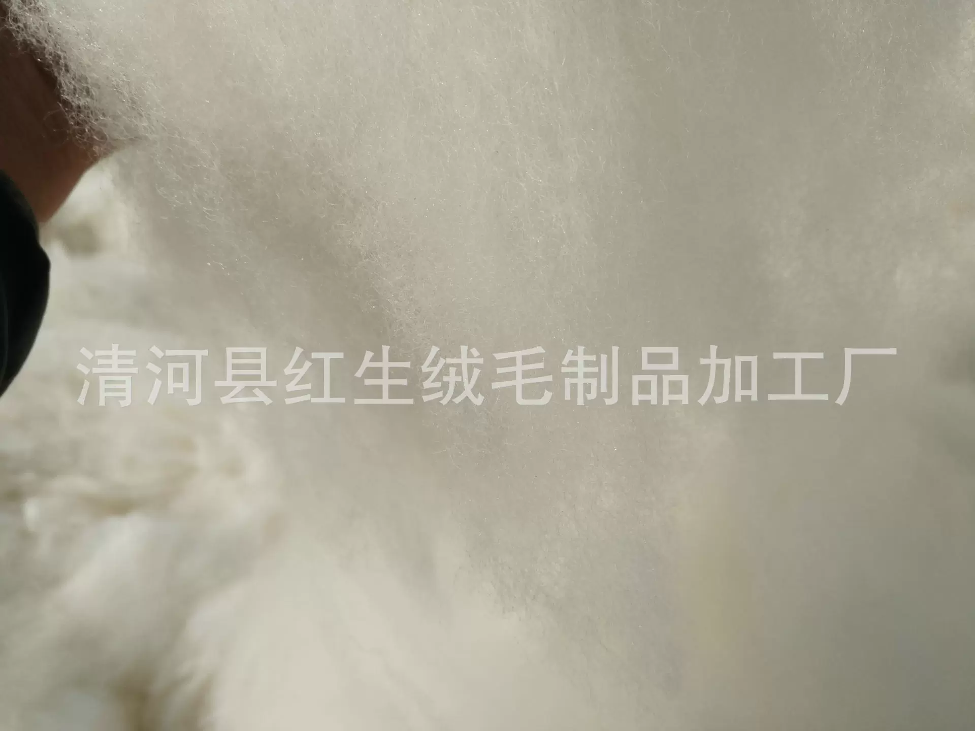 厂家供应绵羊绒、70s细羊毛、丝光羊毛纺纱针织、精梳绵羊绒