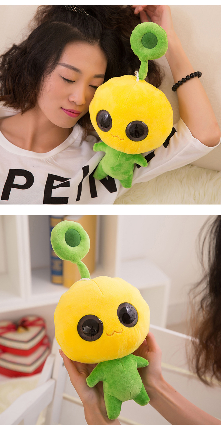 2550910168_2010114436