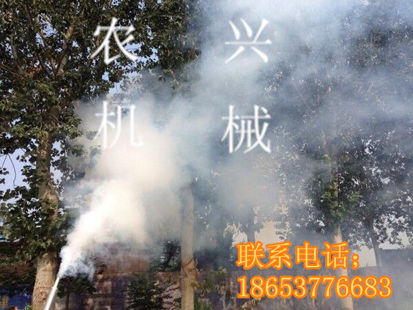 QQ�DƬ20151231105802