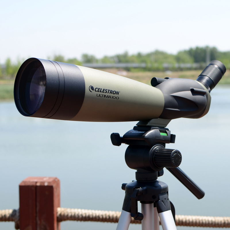 星特朗單筒觀鳥望遠鏡遠方C22-66x100A/B觀賞鏡鏡高倍可接單反