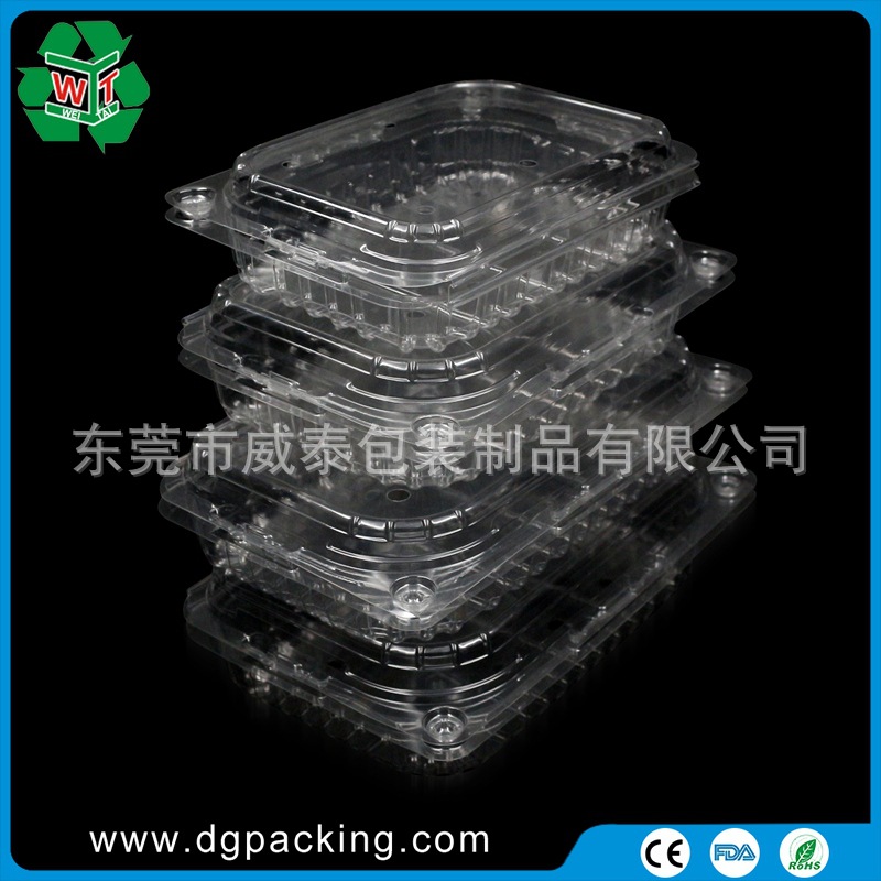 生产 透明塑料 环保PET水果蔬菜盒