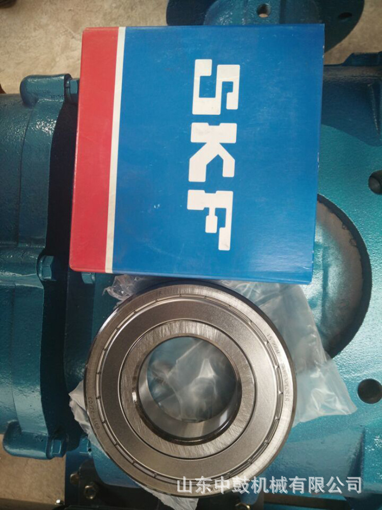 SKF1 (1)