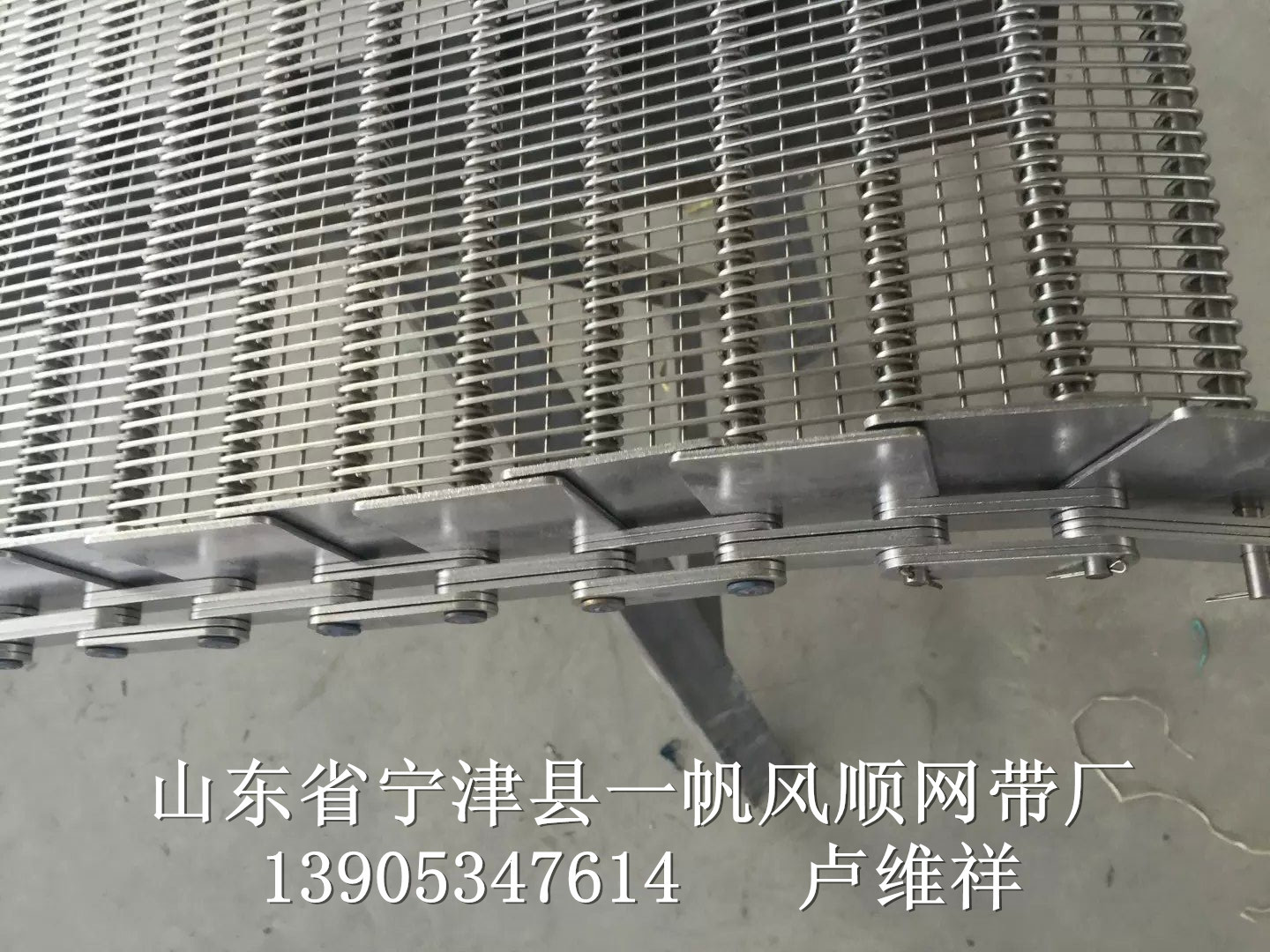 杀菌机网链、清洗机网带-2202