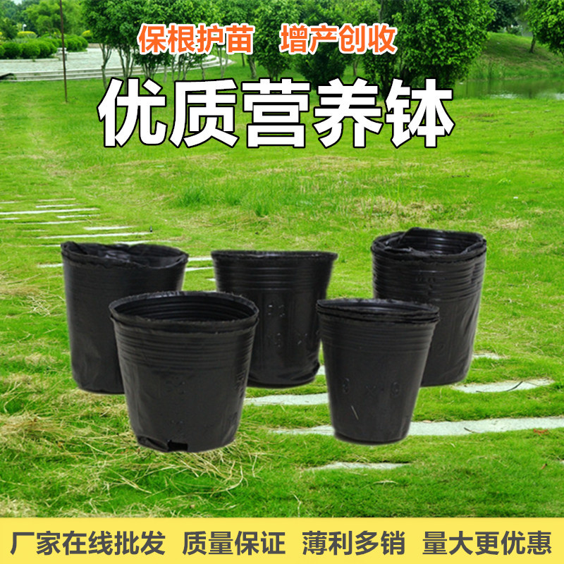 black Nutritional bowl wholesale Nutritional bowl Nursery bags Nutrition Nutrition Cup Seedling Basin Nursery Cup