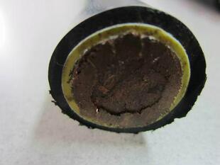 �L���l���|