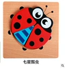 Ladybug