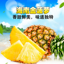 海口网店服务