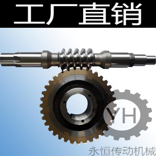 Manufactor machining Customized Worm gear Reducer accessories Copper worm Stainless steel Steel cast iron