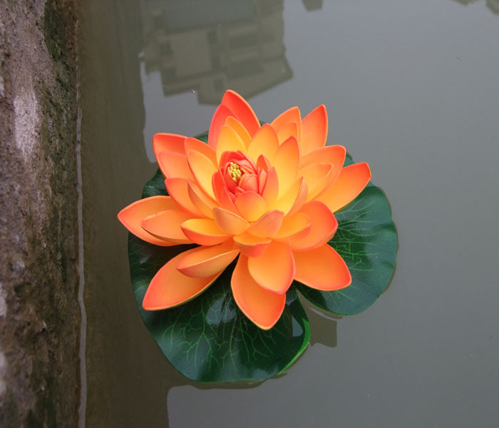DSCF6088