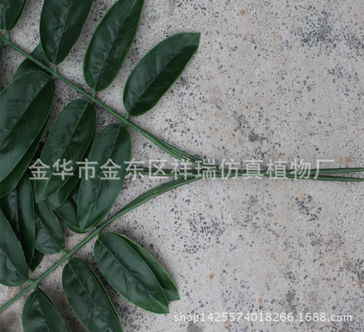 XRB-142核桃叶3叉枝27叶1