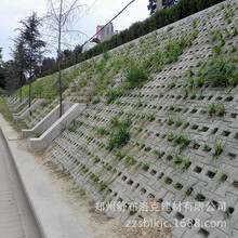 生產直銷 互扣式護坡磚 水利工程植草護坡磚 聯鎖護坡砌塊