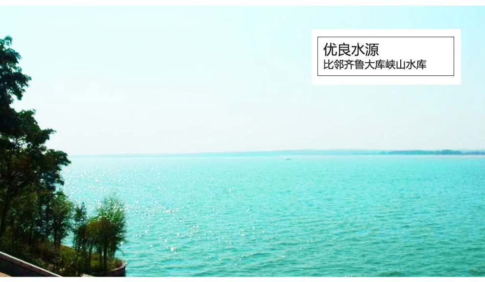 1kg荞麦面详情页-jj_16