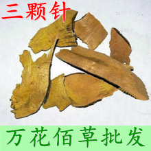 ���� �䱳��ș�� ����� ���w�