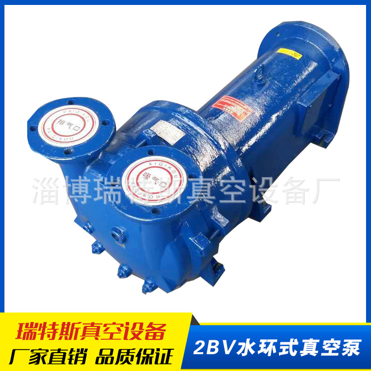 2BV6161水环式真空泵   防爆电机化工专用  质量保证