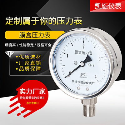 [不锈钢膜盒压力表YE100BF 40KPa60耐硫压力表 耐高温耐腐蚀微压表]
