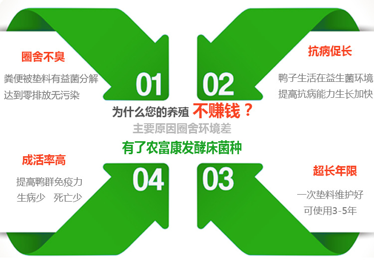 发酵床养鸭