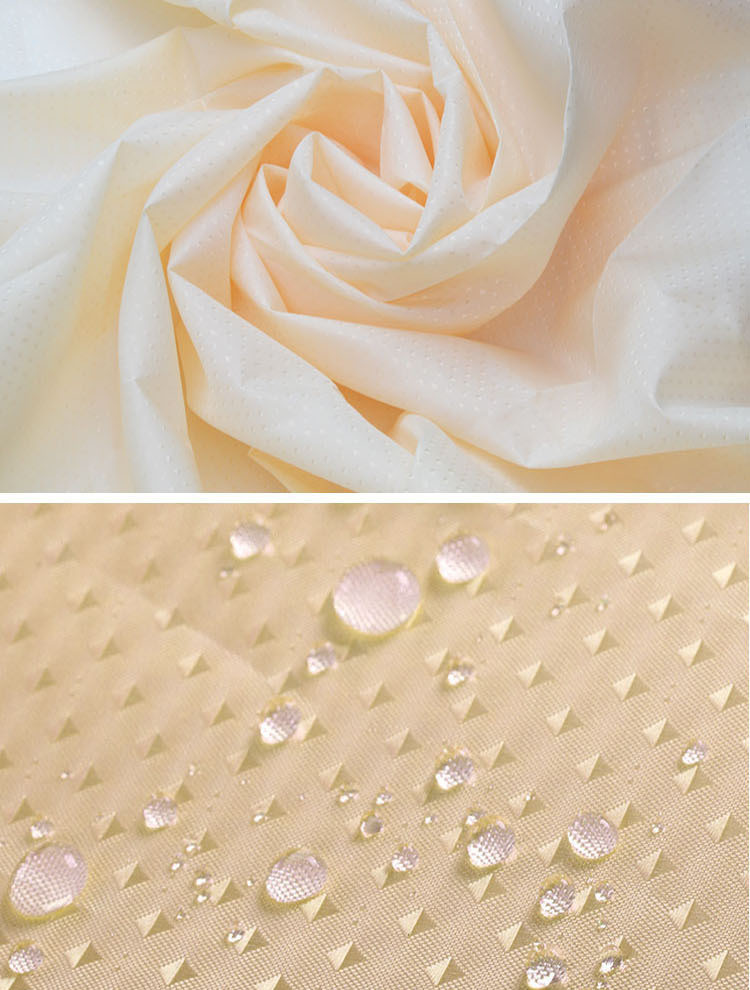 2969816418_335214996_副本