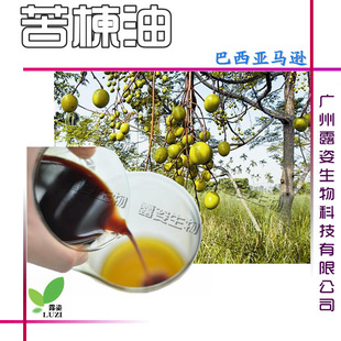 ���l �������R�O�M�� ����� �ЙCӡ���Neem nuts oil