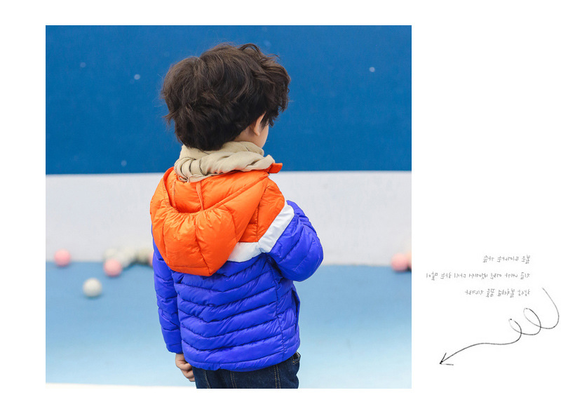 Veste pour garcon en adoucissement - Ref 2160429 Image 24