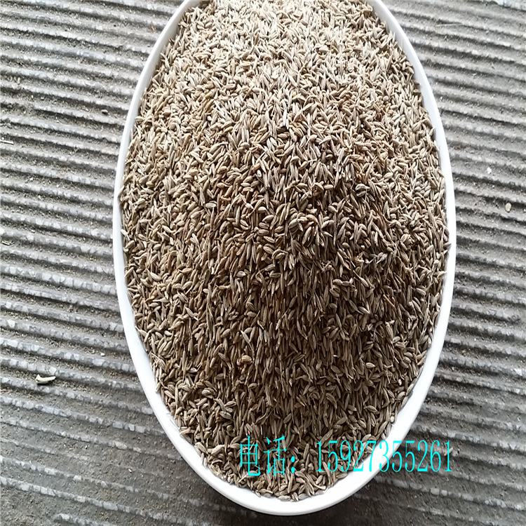 新货新疆孜然颗粒 烧烤调料羊肉串撒料免费磨孜然粉面