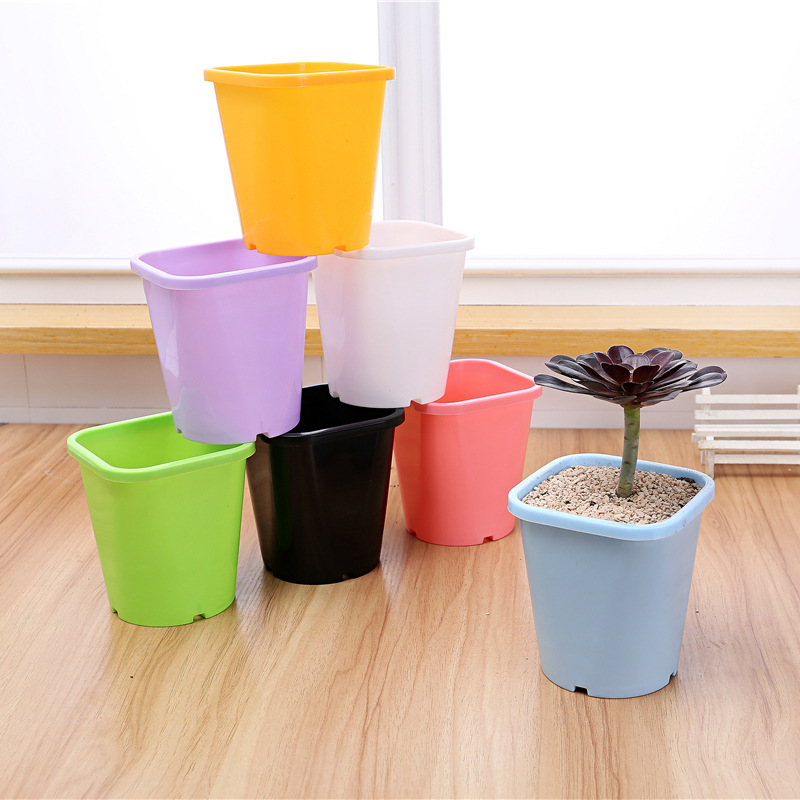 园艺多彩上方下圆塑料花盆容器酢浆草专用盆多肉盆花器不含托盘 阿里巴巴