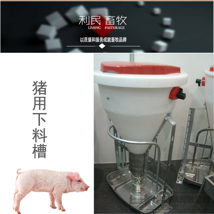 供应猪料筒 猪料桶 猪料槽 猪下料槽 不锈钢干湿料槽 猪干湿料槽