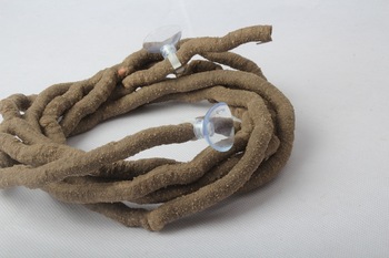 【爬虫网】爬虫uvb价格_爬虫躲避图片