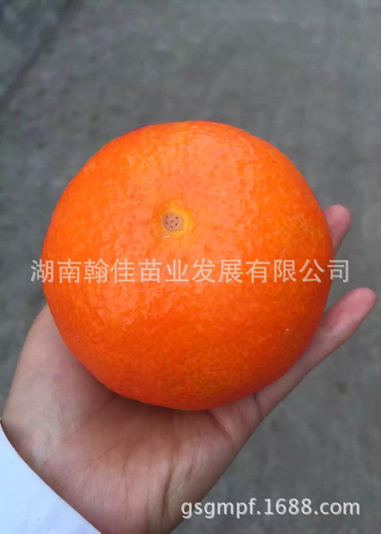 b4717d0109259211cf5074a1e30312