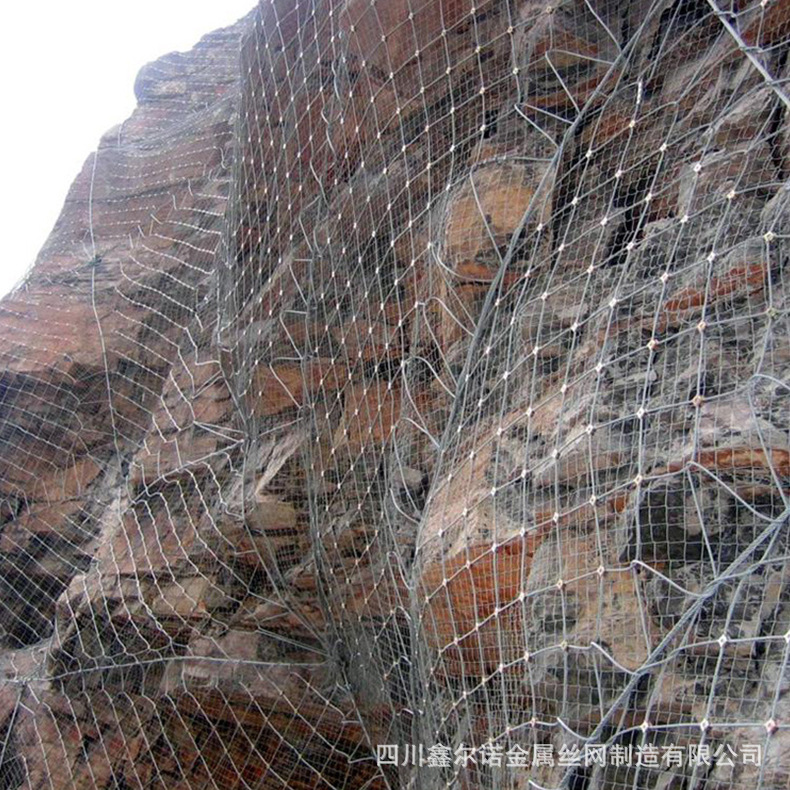 wholesale Produce Initiative side slope Fence Passive side slope Fence sns Sichuan Province Flexible side slope Fence