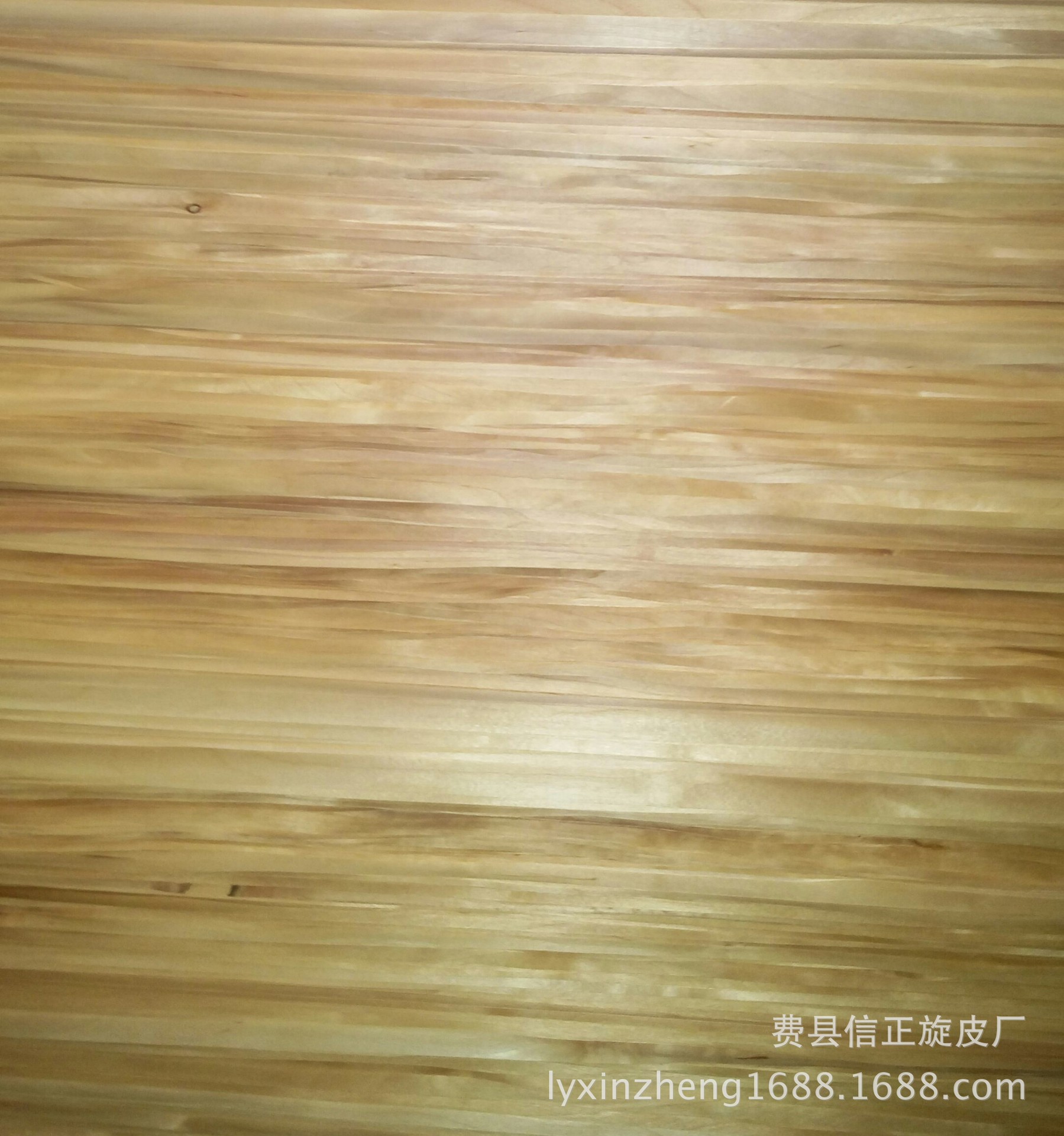 IMG_20160401_143650-1