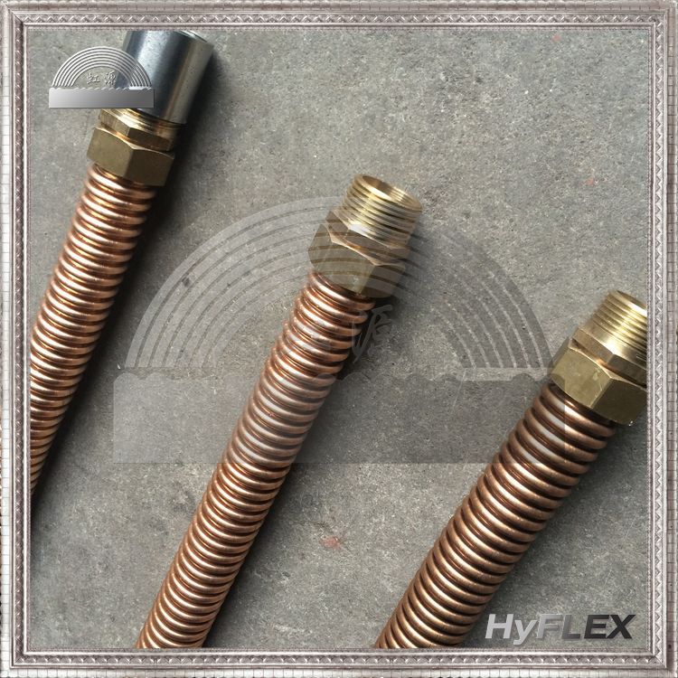 6分铜波纹管水管 螺母连接 螺纹连接 柔软耐腐蚀青铜材质