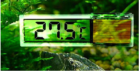 QQ图片20160526175615