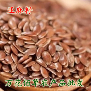 ������ ������ ���ɹš������쁆���ѬF���� ե�� ������