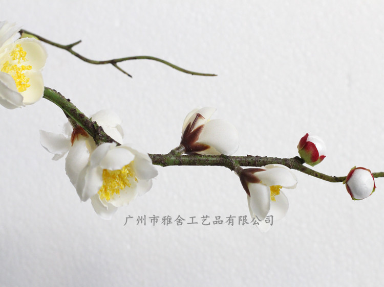 IMG_3187_副本