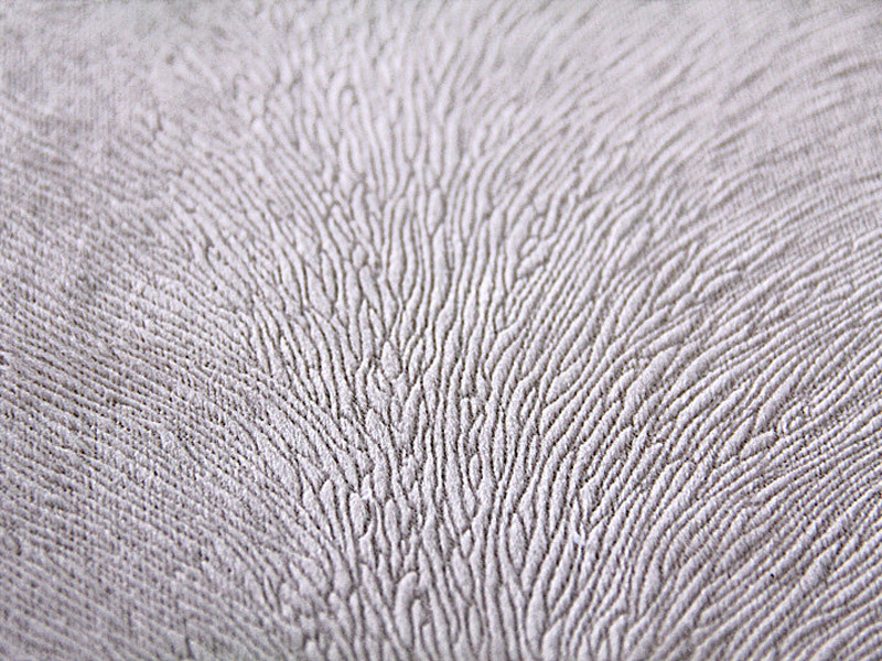 汽车座椅面料_厂家超柔烂花凤尾纹短毛绒服装