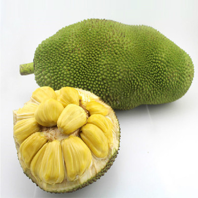 海南厂家提供 速溶菠萝蜜果粉 食品级 水果提取物 厂家批发