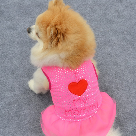 Stylish Pet Outfit
