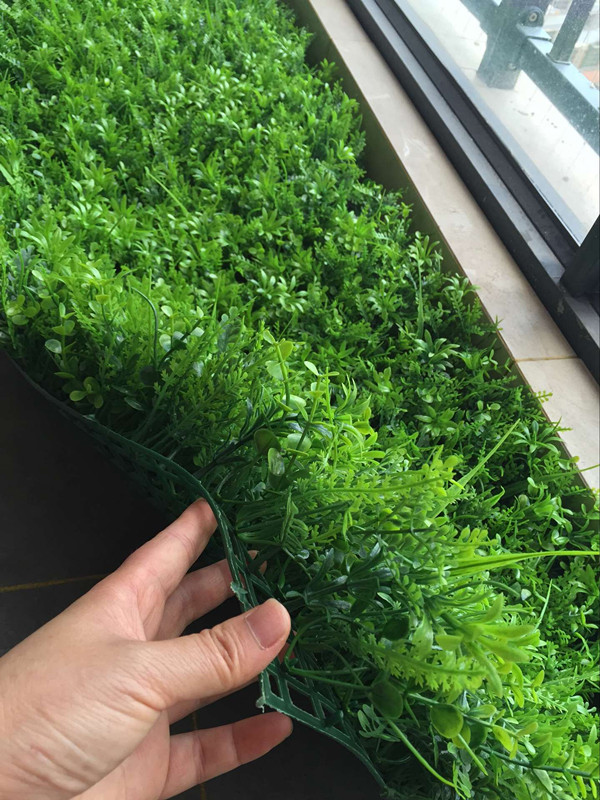 QQ图片20160707150141_副本