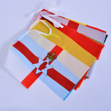 外国小彩旗 世界各国国旗 球迷酒吧装饰旗帜 可定制小国旗