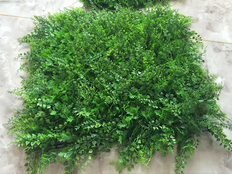 QQ图片20160707150344_副本