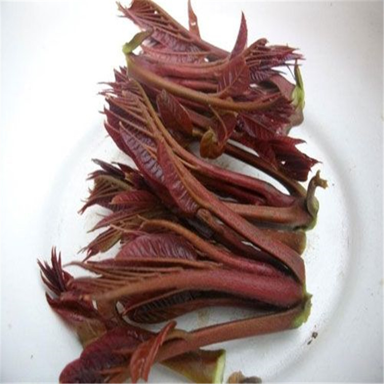 20130311142544344434