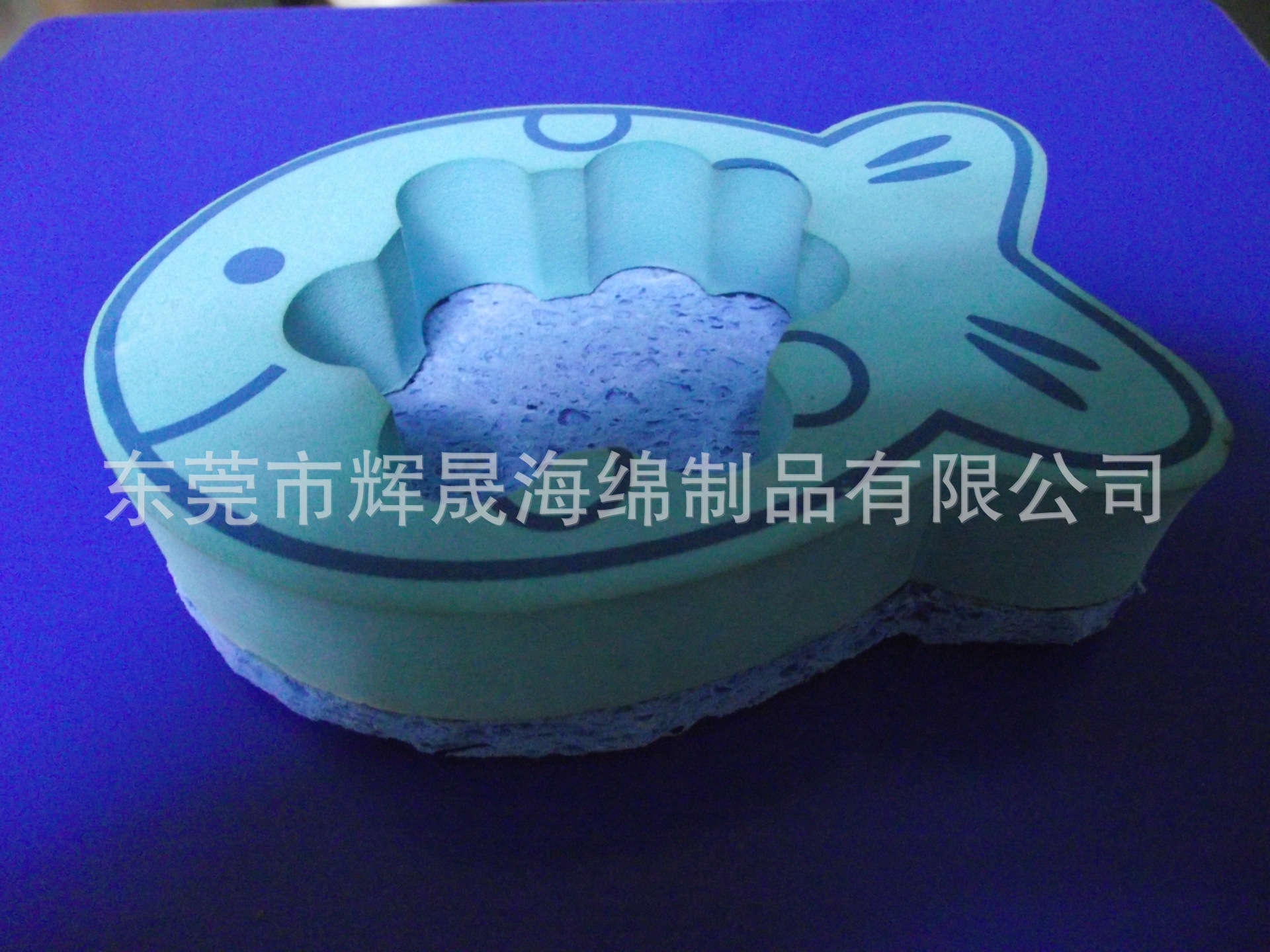 DSCF1351