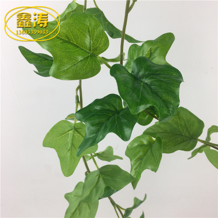 青藤文学网_青藤文学网供应商_青藤文学网批