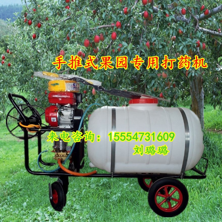 圖片20150301133520