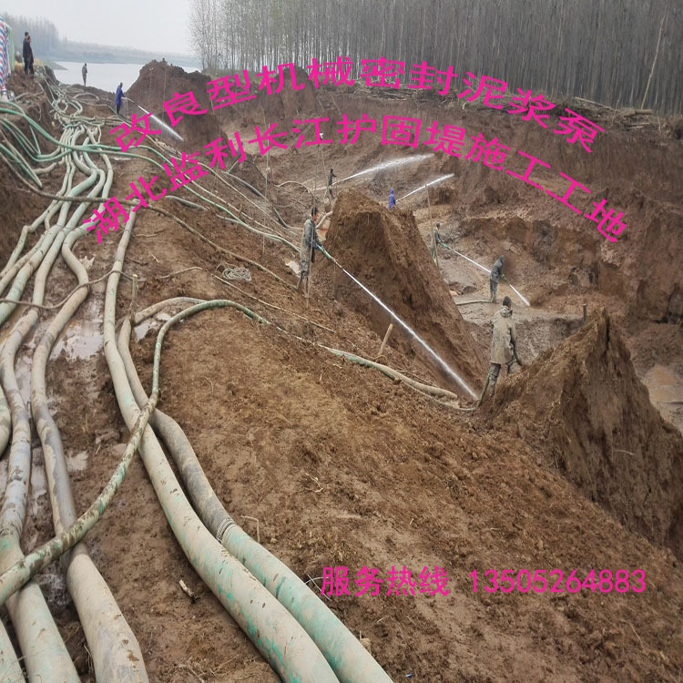 泰兴市马甸泥浆泵水带厂家系列13505264883(136)