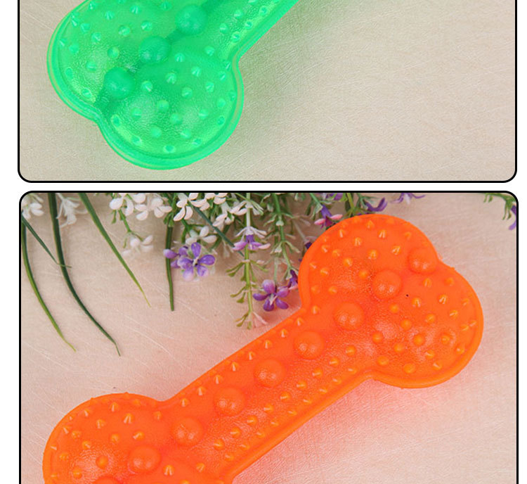 Amazon Big Tooth fun wholesale chew pet and garden and supplies dog toys genuine clearance undefined